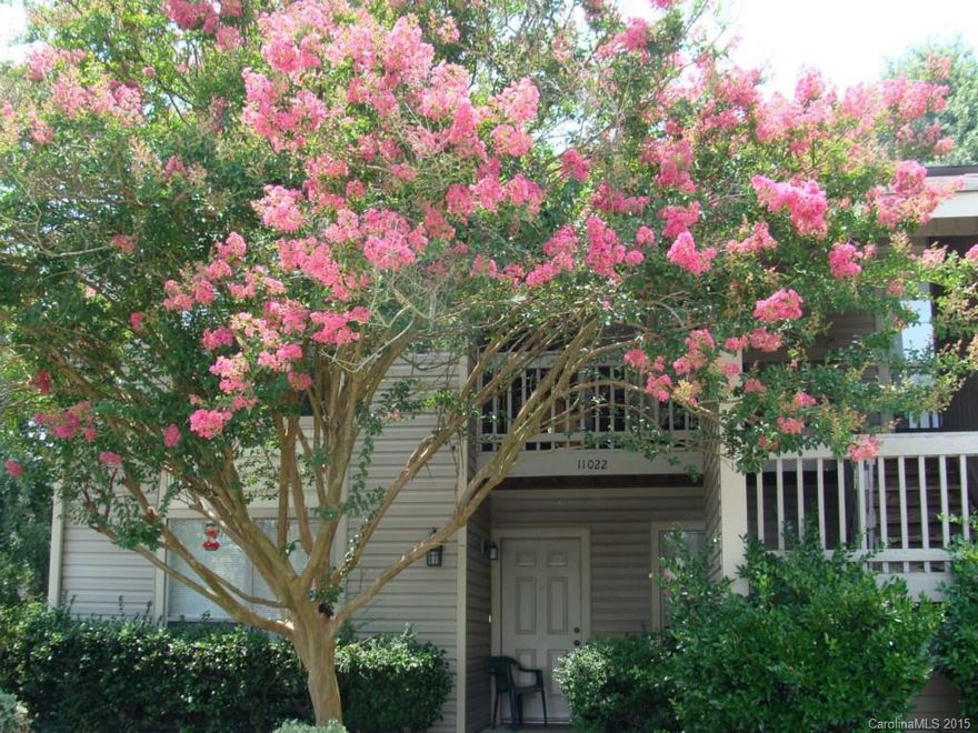 Why Rent!!! When you can Purchase this Beautiful Affordable Condo.   Great Location-Southpark/Ballantyne, Arboretum, Close to Lightrail, McAlpine Trail & Uptown.  All Upgraded Appliances Included *Maxima, Washer/Dryer* Samsung Refrigerator* Maytag Stove/Oven* Custom Built-Ins in Master-Closet. Upgraded Mahogany Porcln Tile in Living/Dining Room.  Imagine being Greeted Every Morning and Evening by this Beautiful, Crape Myrtle Tree.  Ready for the Next New Owner.