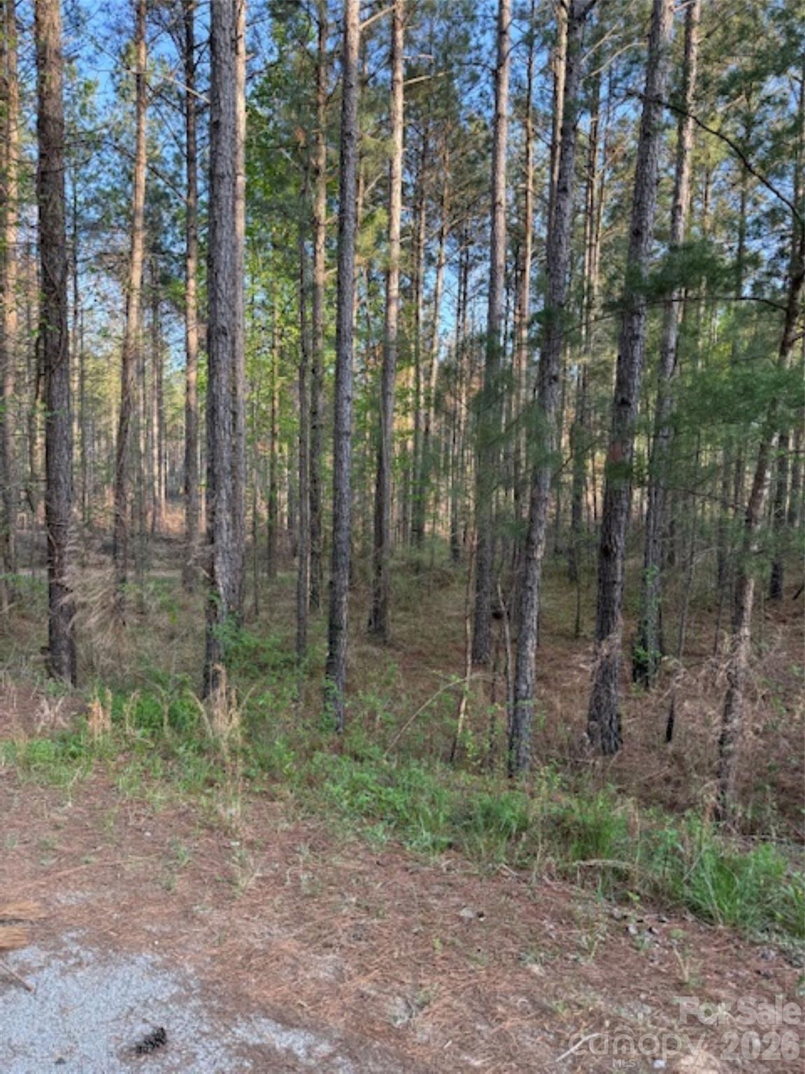 00 Clark Mountain Road