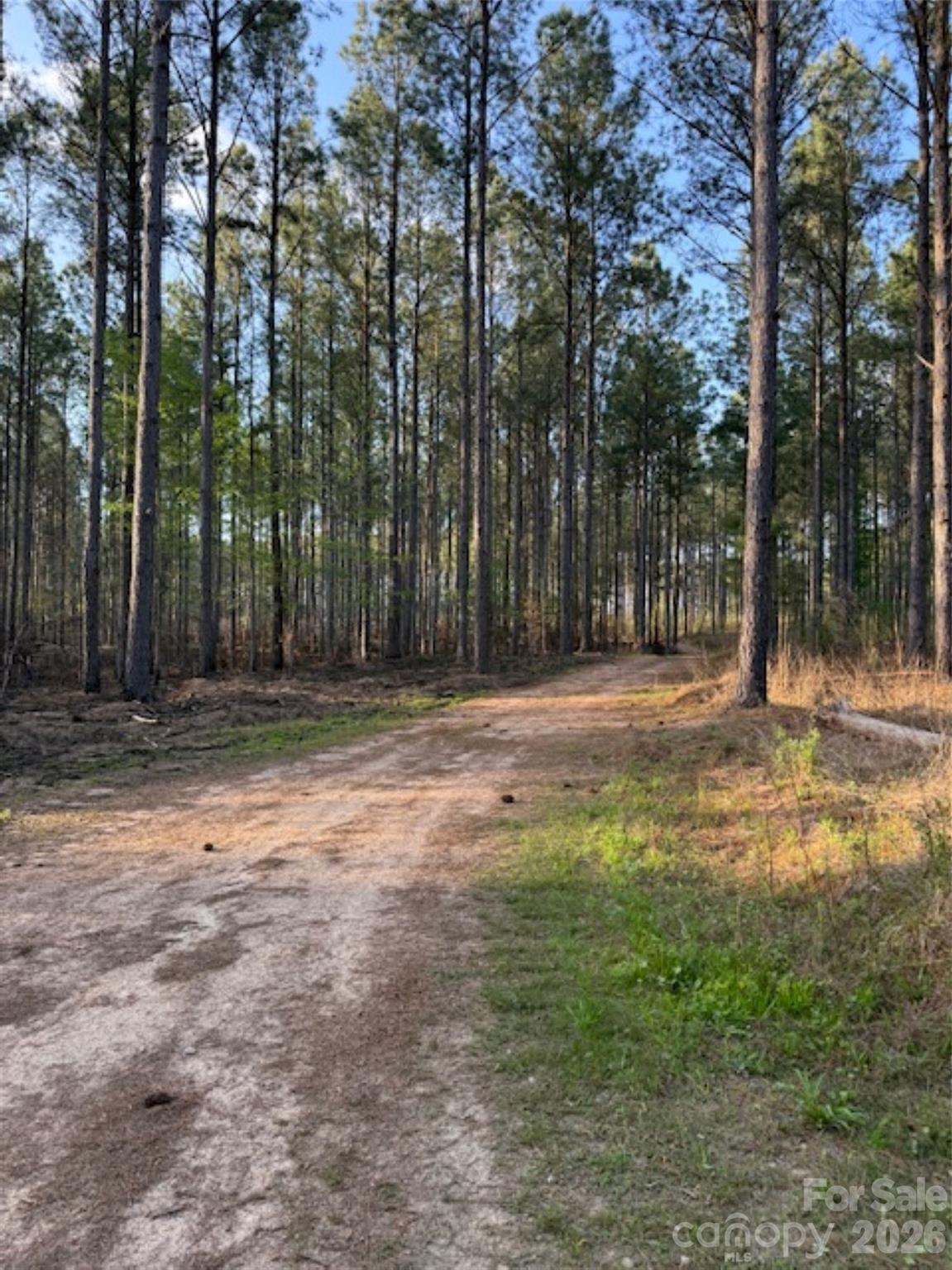 00 Clark Mountain Road