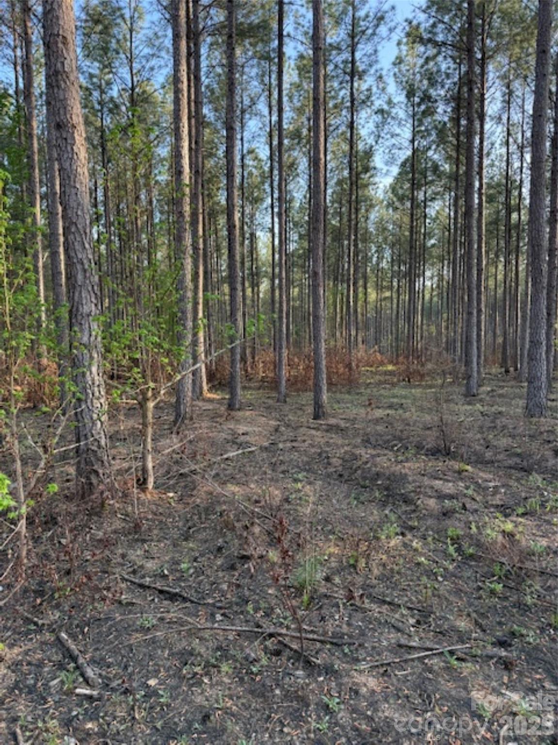 00 Clark Mountain Road