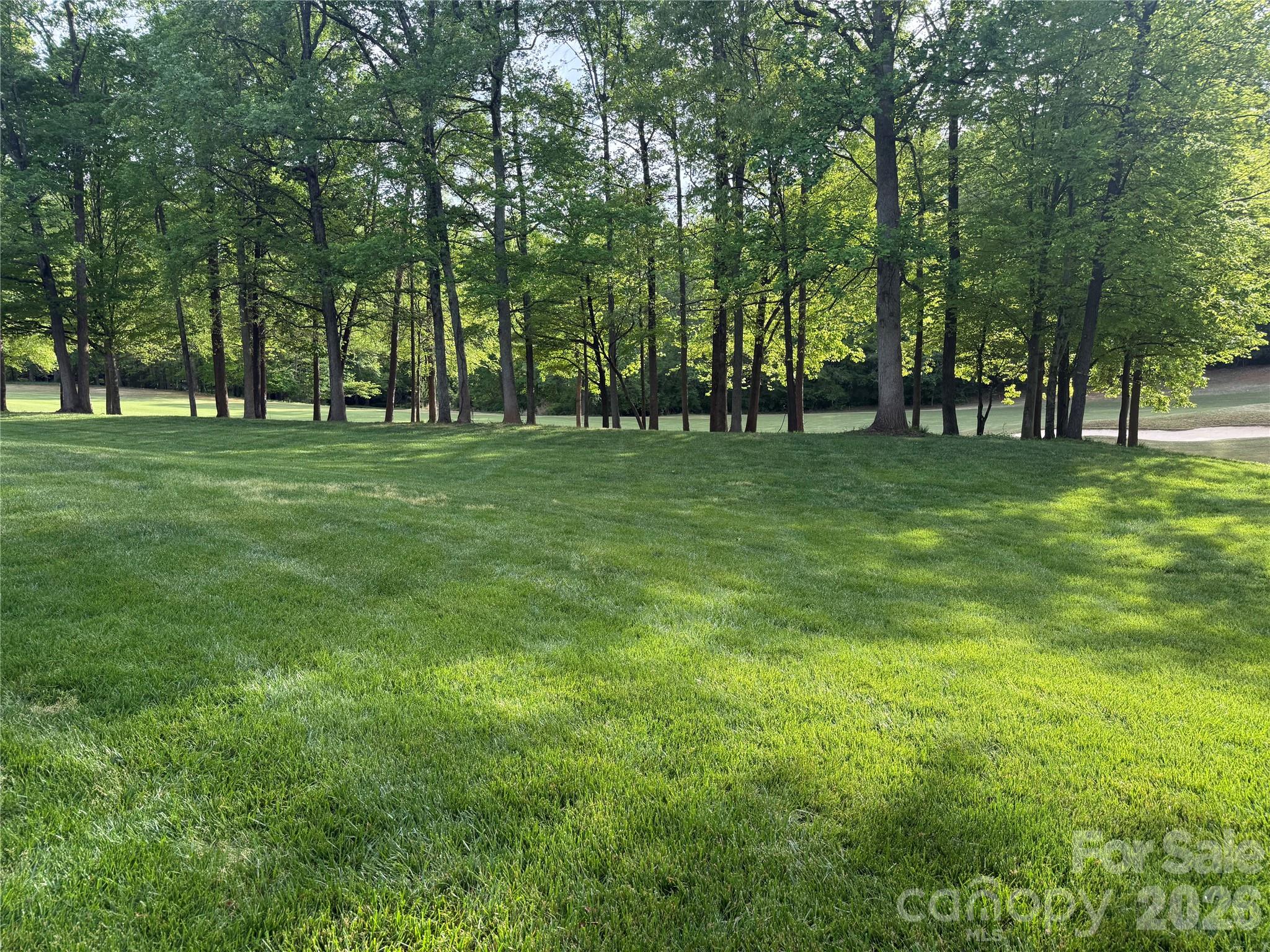 Cramer Mountain - Land