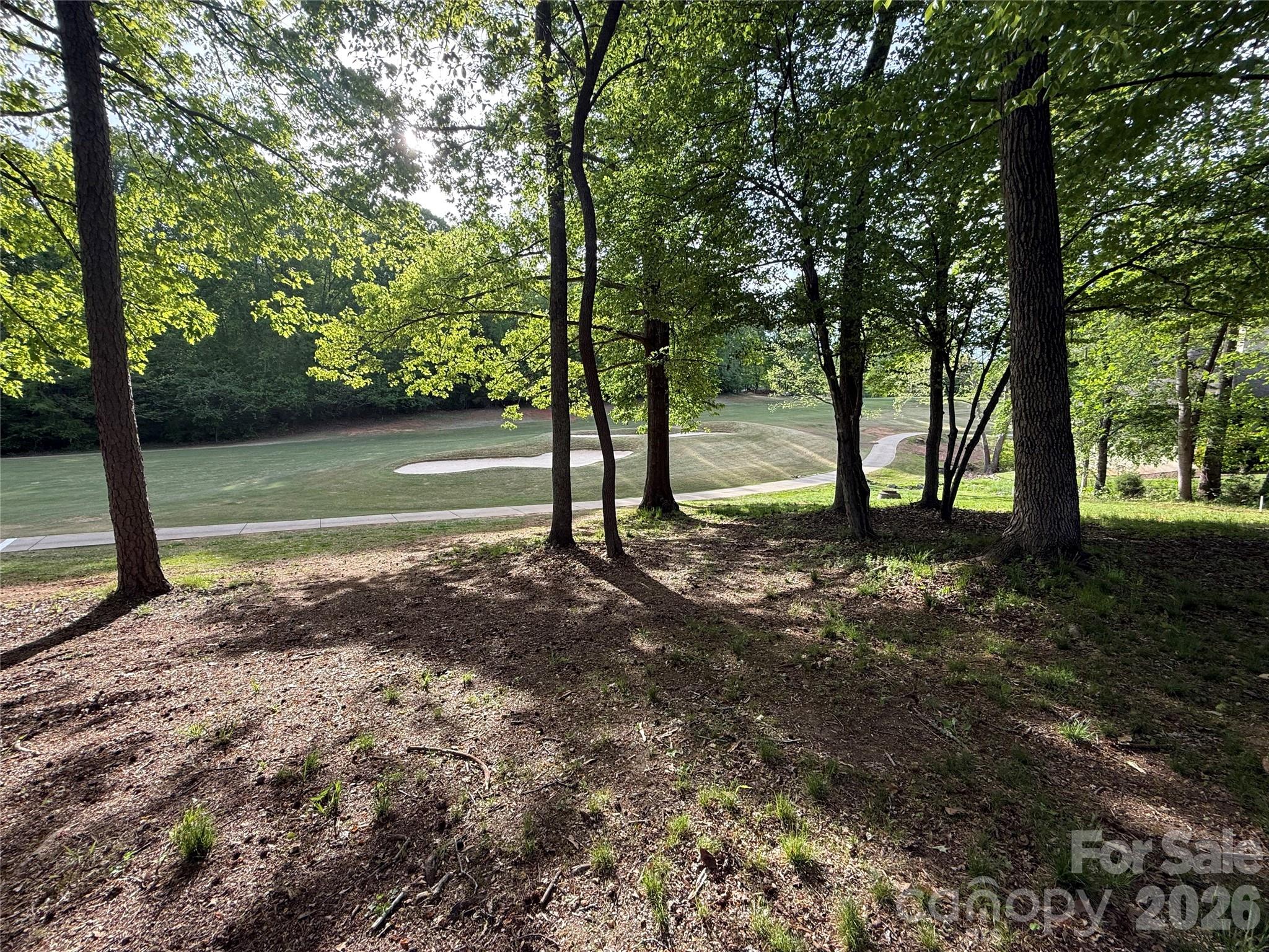 Cramer Mountain - Land