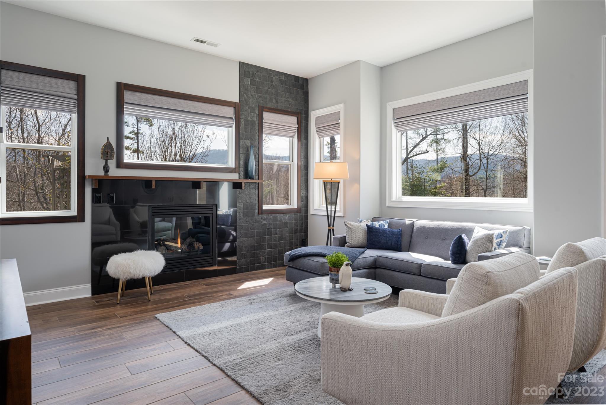 Reems Creek Village - Residential