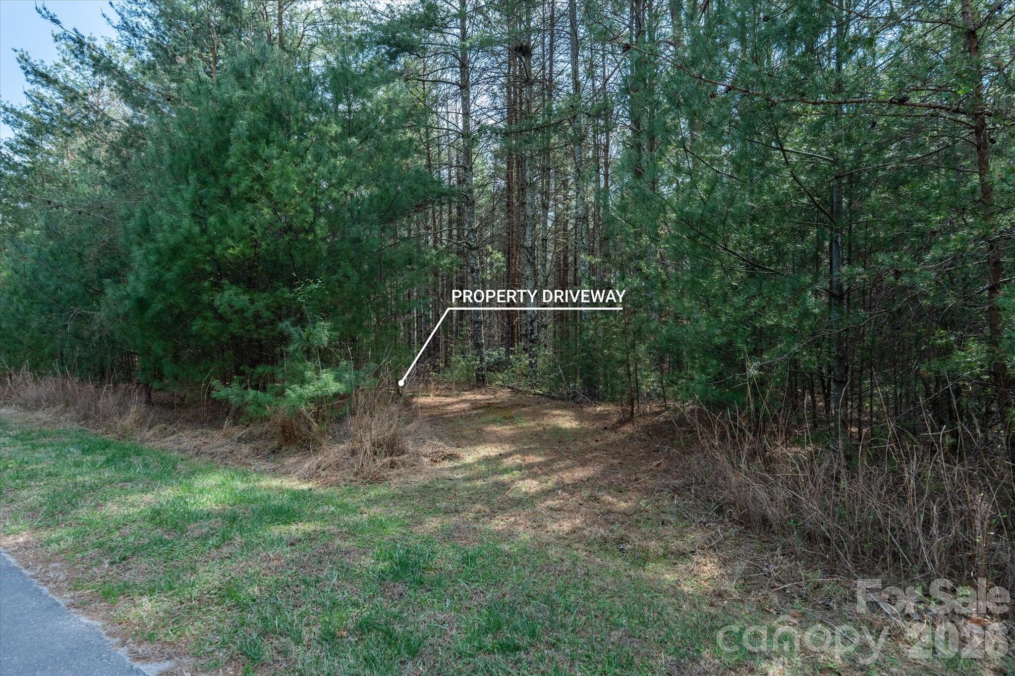 Old Wildlife Club - Land