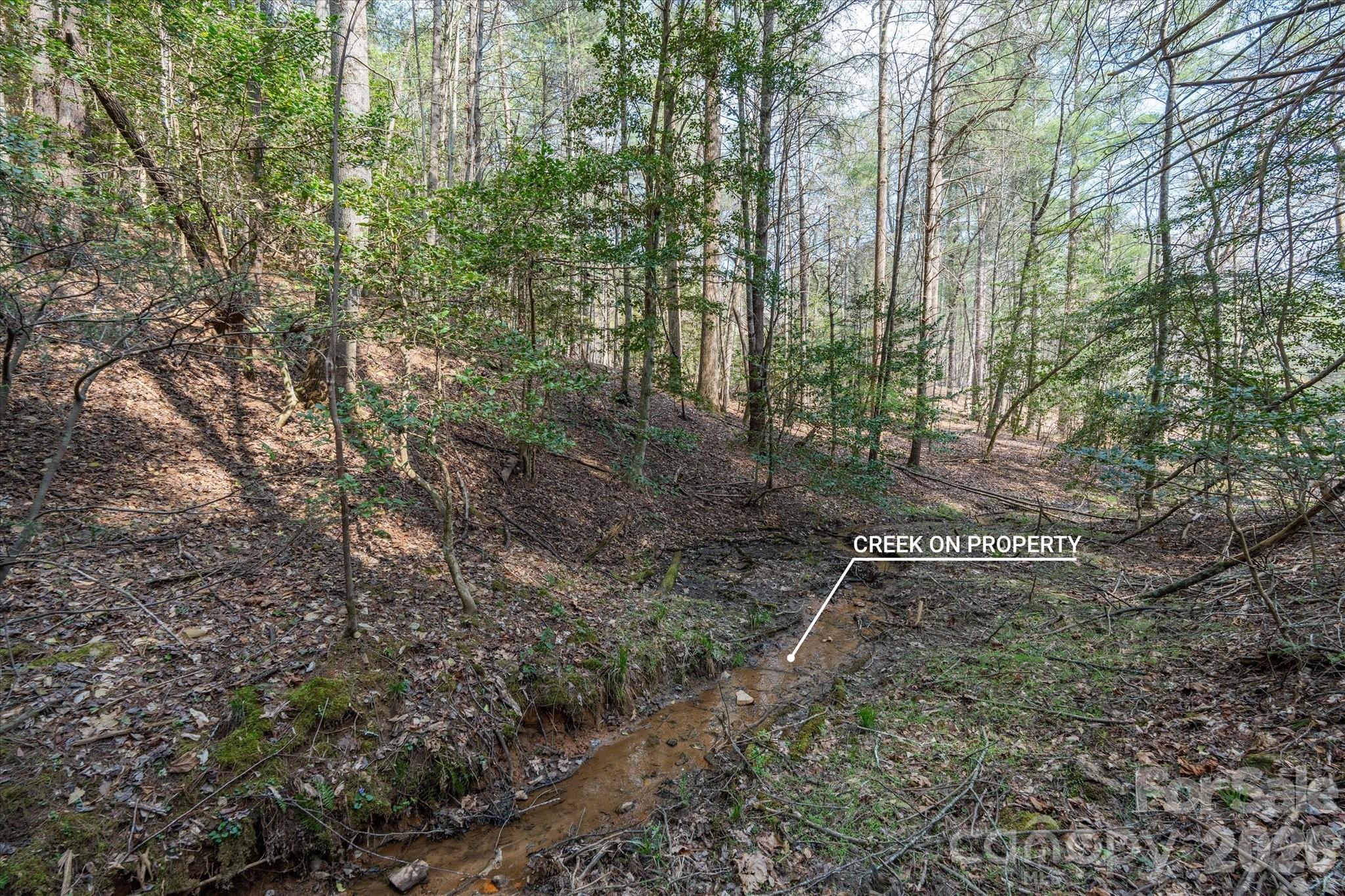 Old Wildlife Club - Land