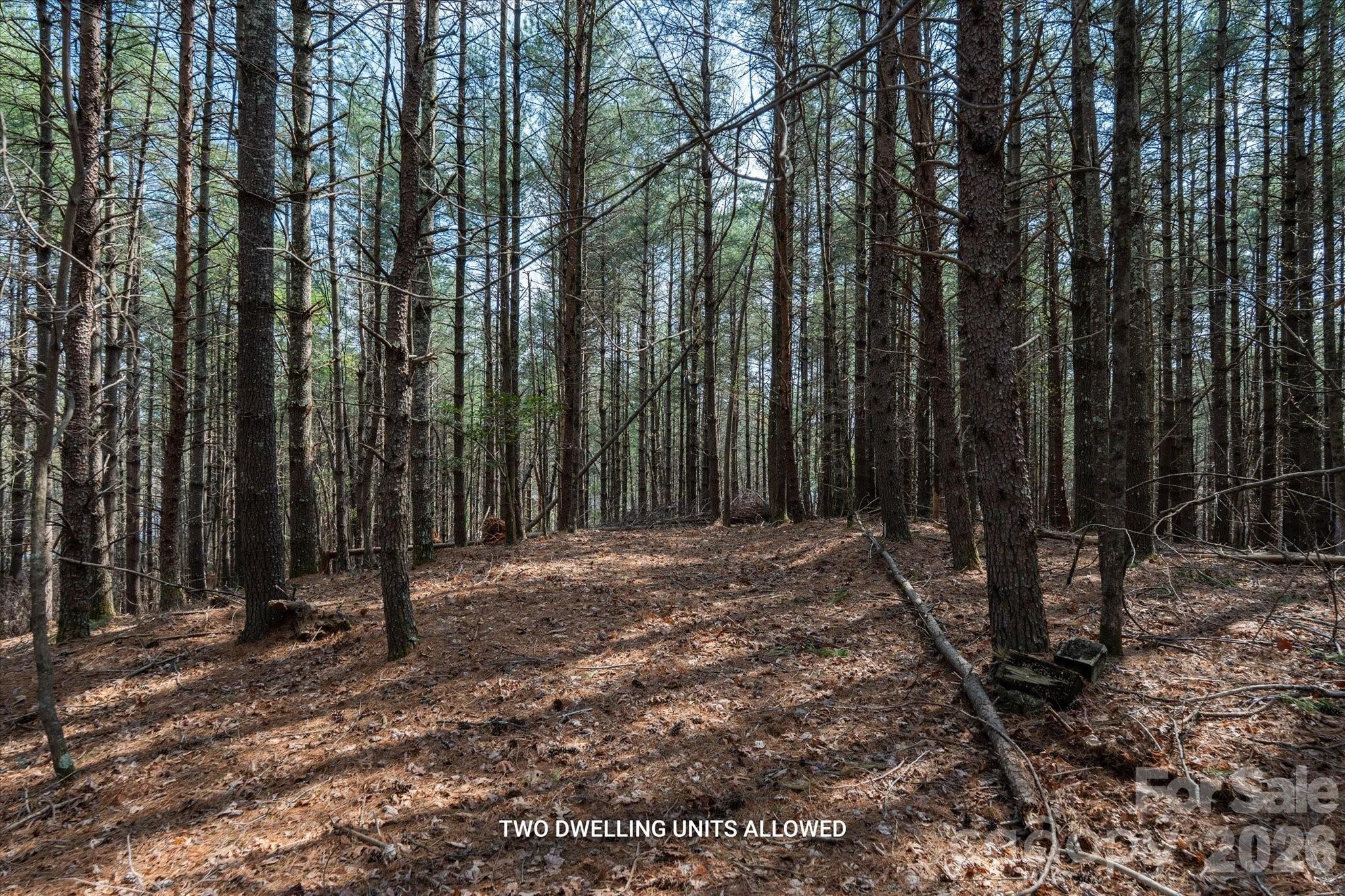 Old Wildlife Club - Land