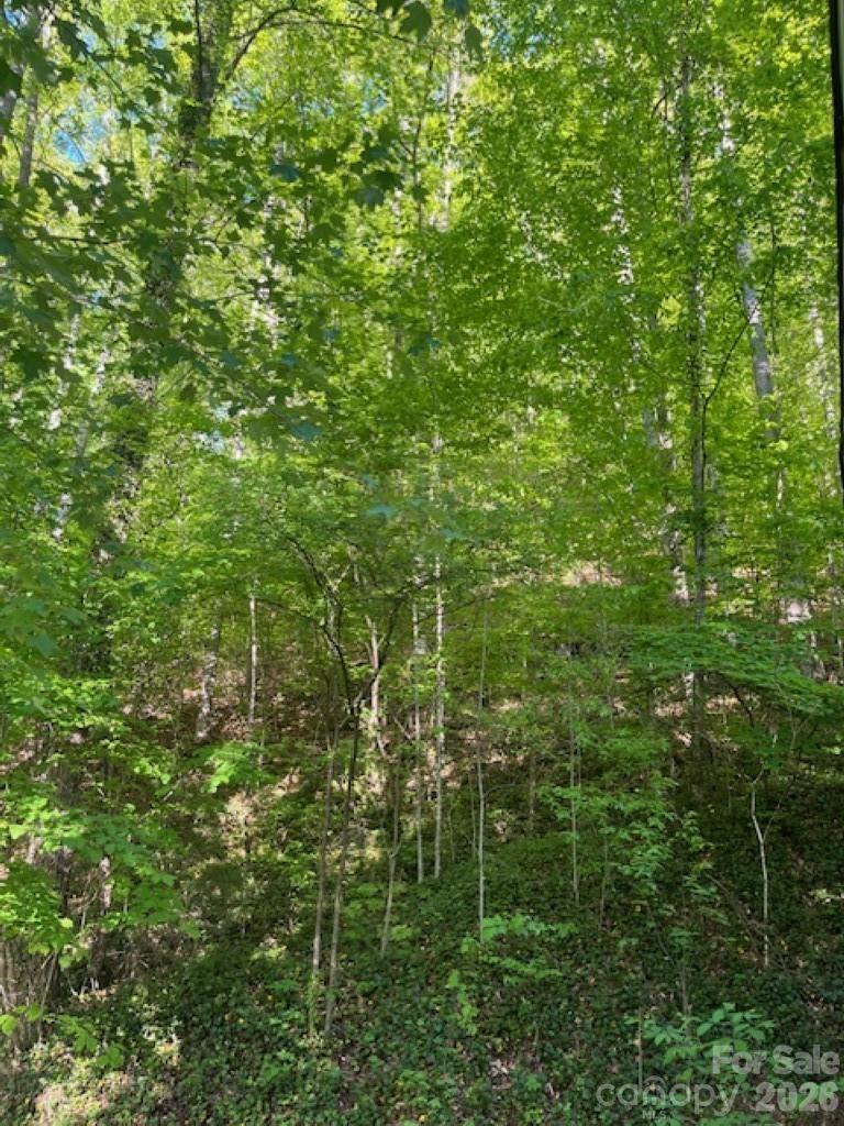 Dogwood Acres - Residential