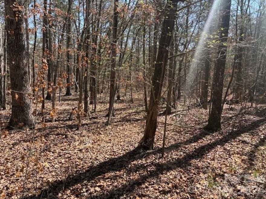Secluded 5.5 acreage in Harrisburg. Wooded tract. Private 60' right of way access. No utilities. Great building site. Lots of potential. 100' road frontage.