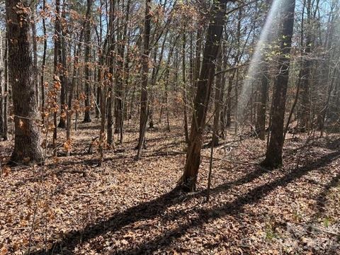 Photo of 7340 Paul Linker Place, Concord, NC 28025 (MLS # 4357132)