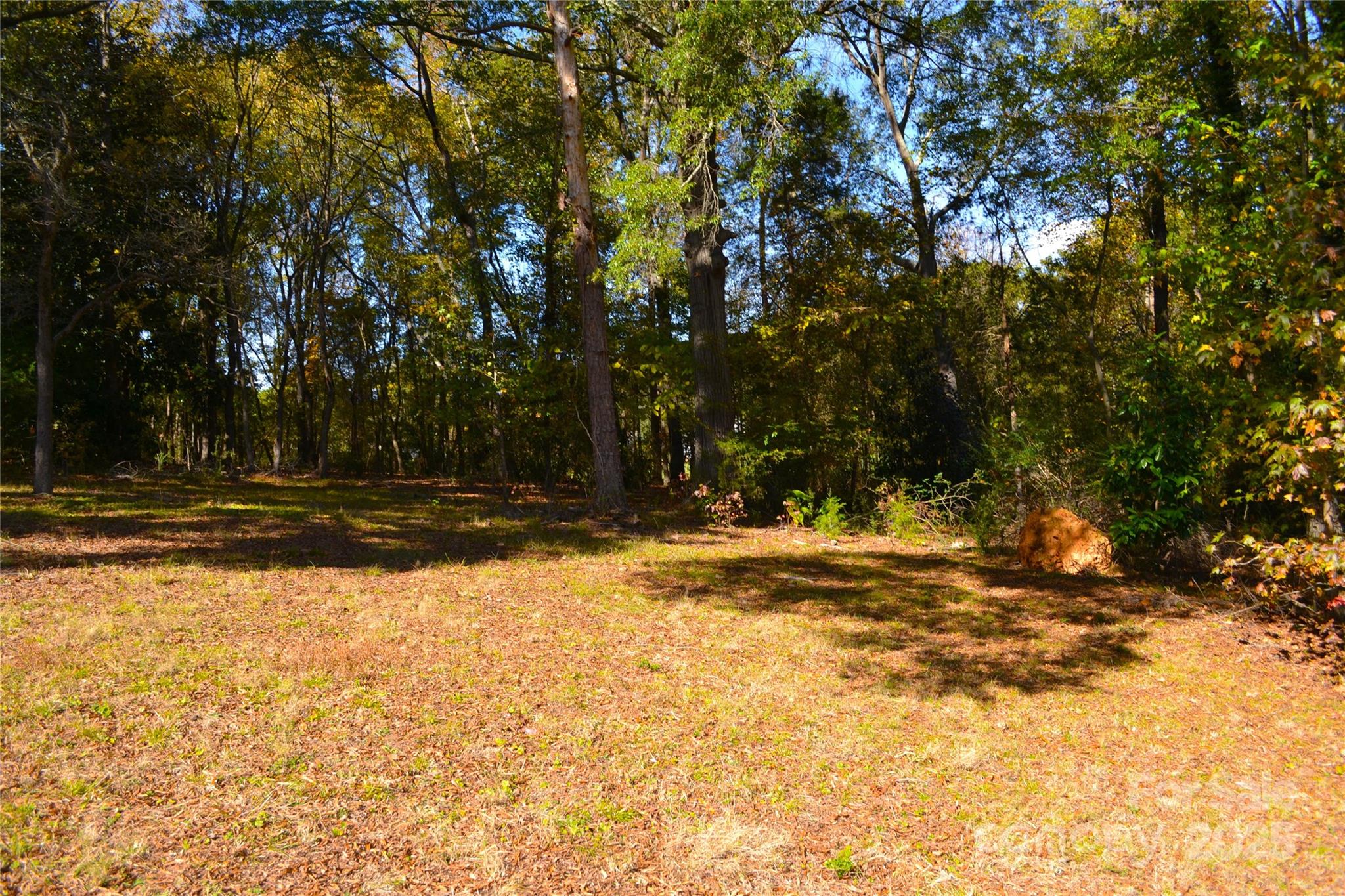 1240 Hollywood Terrace