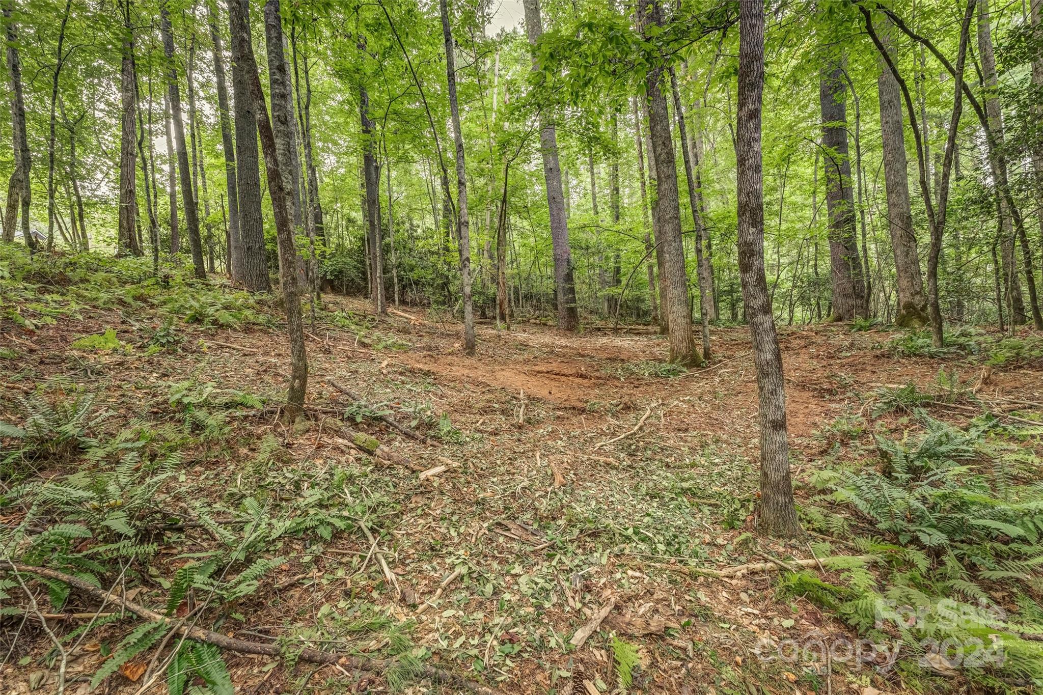 Mountain Brook - Land