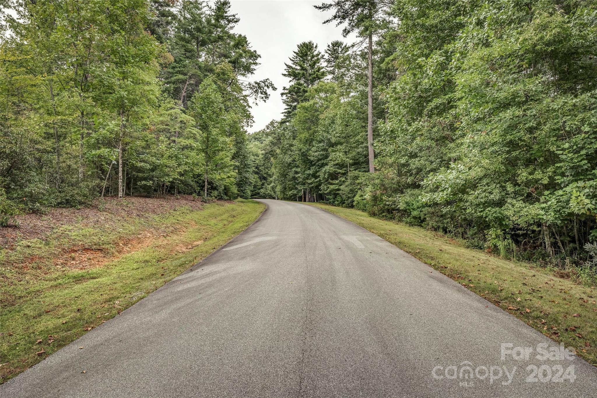 Mountain Brook - Land