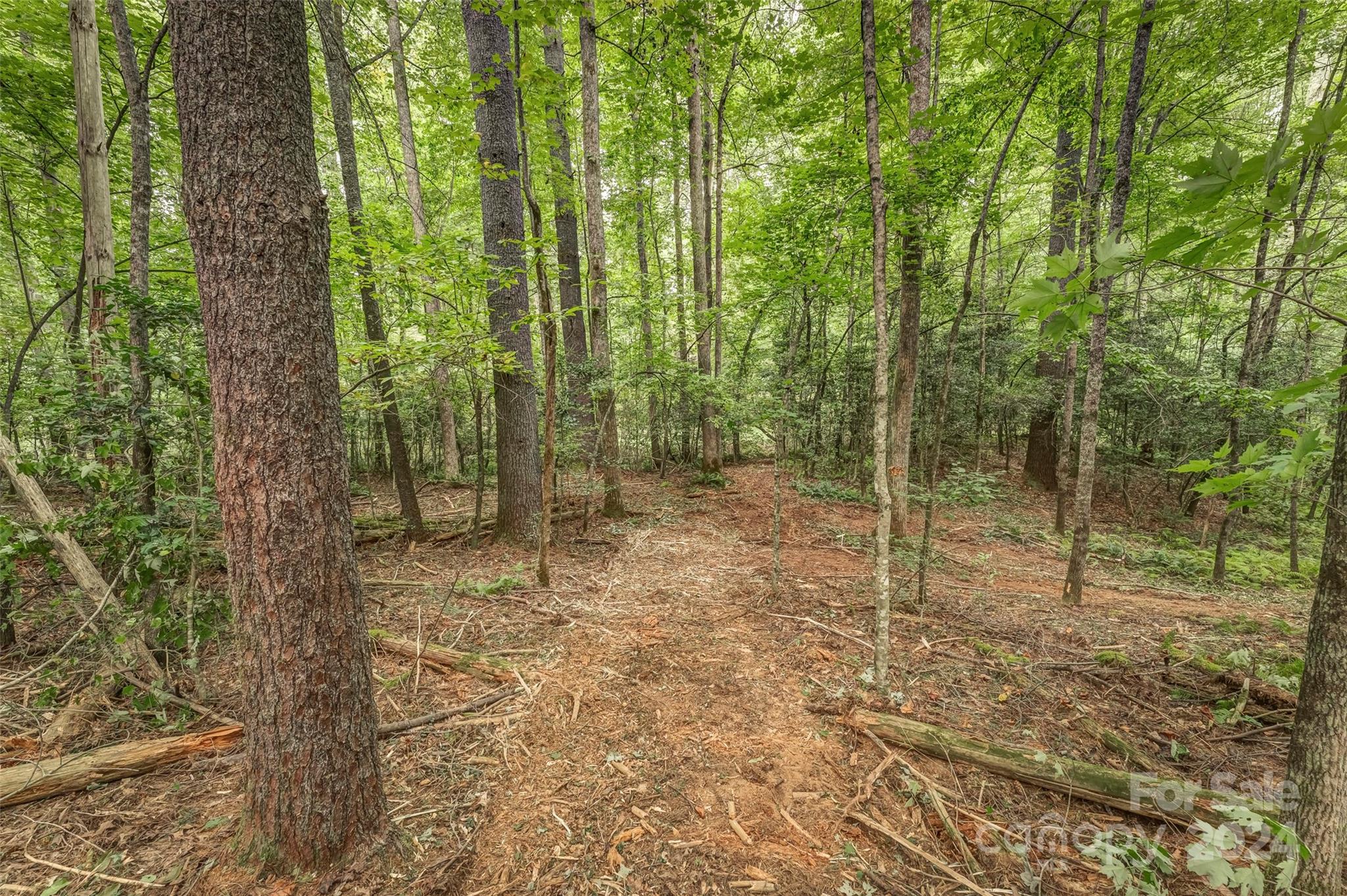 Mountain Brook - Land