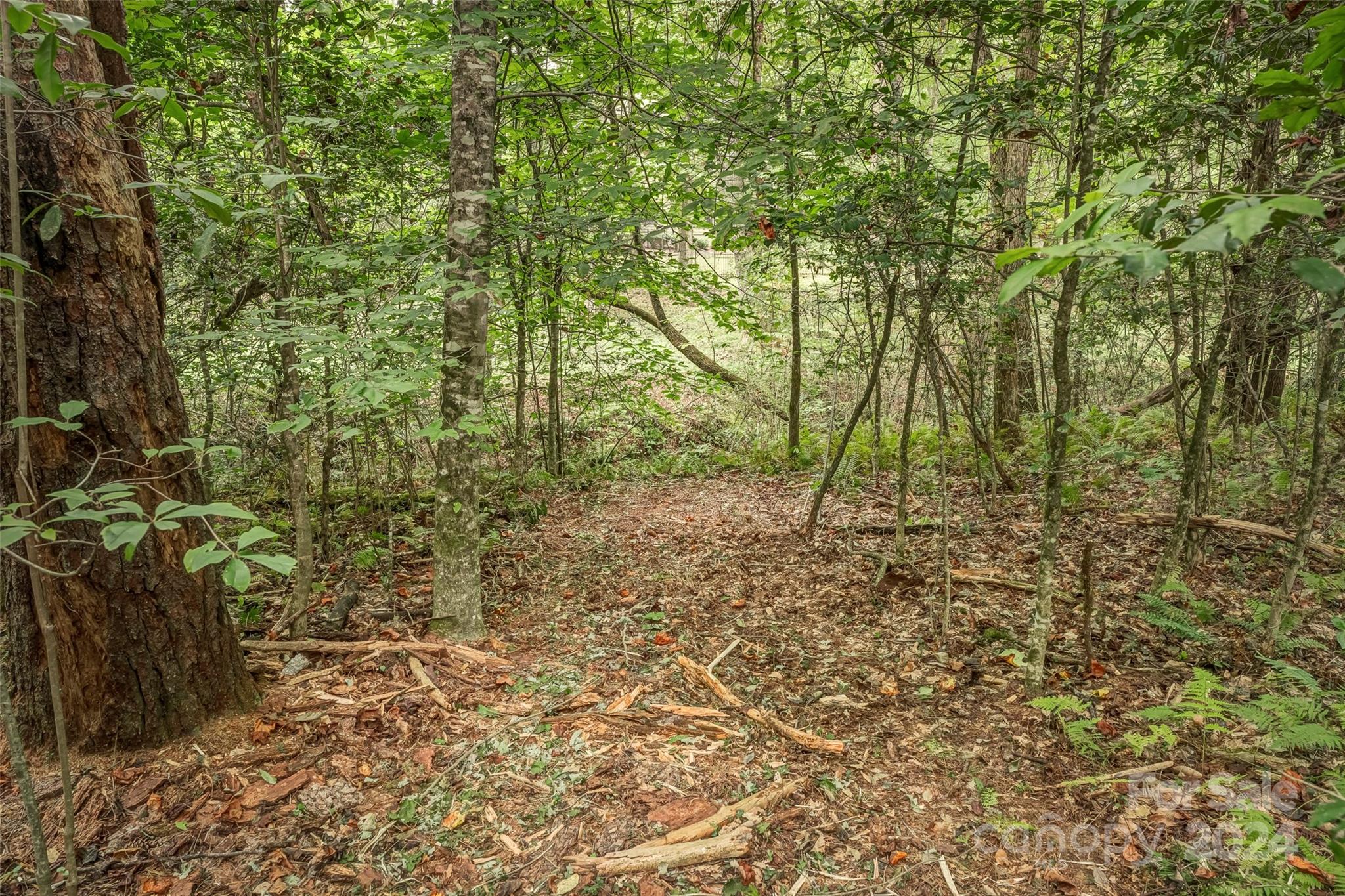 Mountain Brook - Land