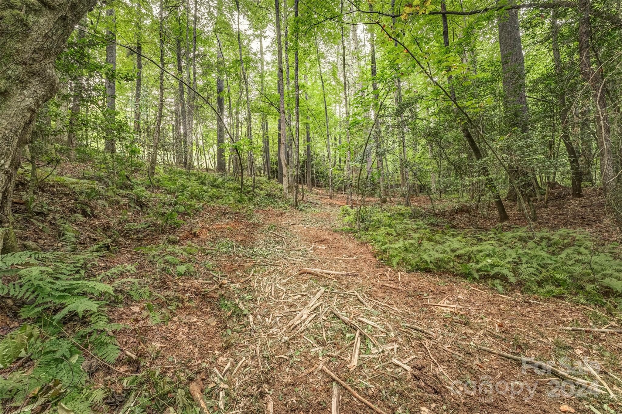 Mountain Brook - Land