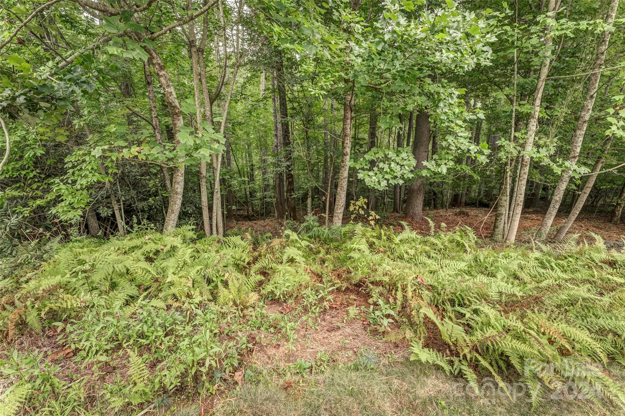 Mountain Brook - Land