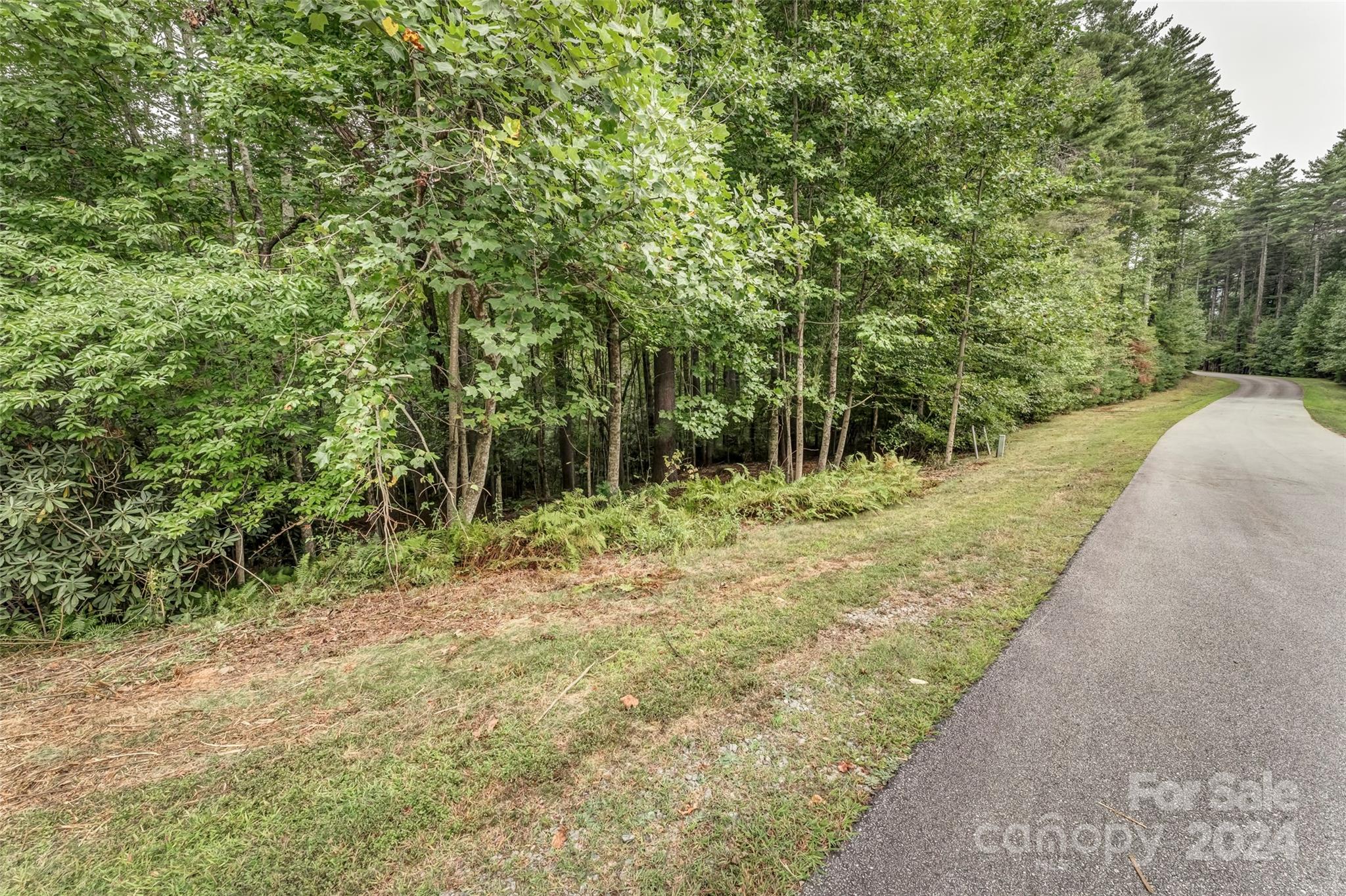 Mountain Brook - Land