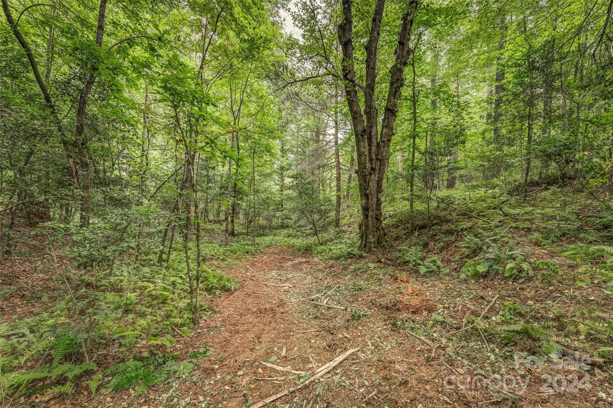 Mountain Brook - Land