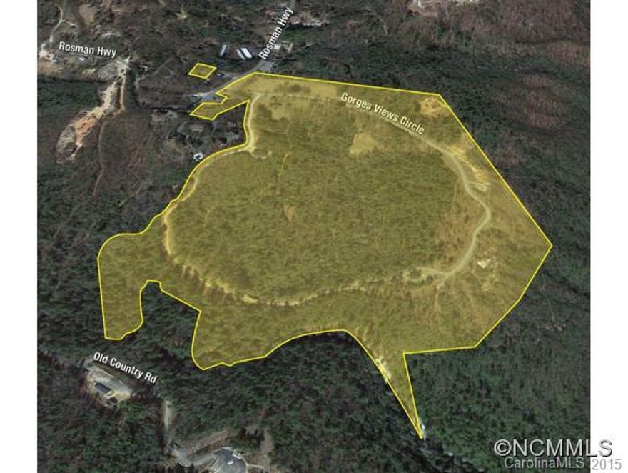 ***BANK-OWNED***Bulk sale of +/-91.3 acres within the Gorges at Lake Toxaway, a premier 32-lot residential development comprised of the following-- 44.0 acres with 27 residential lots sized between 0.6 and 2.7 acres.- 1.84 acres of commercial frontage land- 1.03 acre non contiguous excess parcel- 44.4 acres in a conservation easementSEE ATTACHED BROCHURE FOR DETAILS!!!