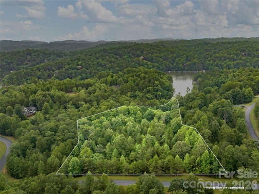 40 PKWY N, MILL SPRING, NC 28756 - Image 58e94563a975cb9b96e53dfd772061cc/3816782108