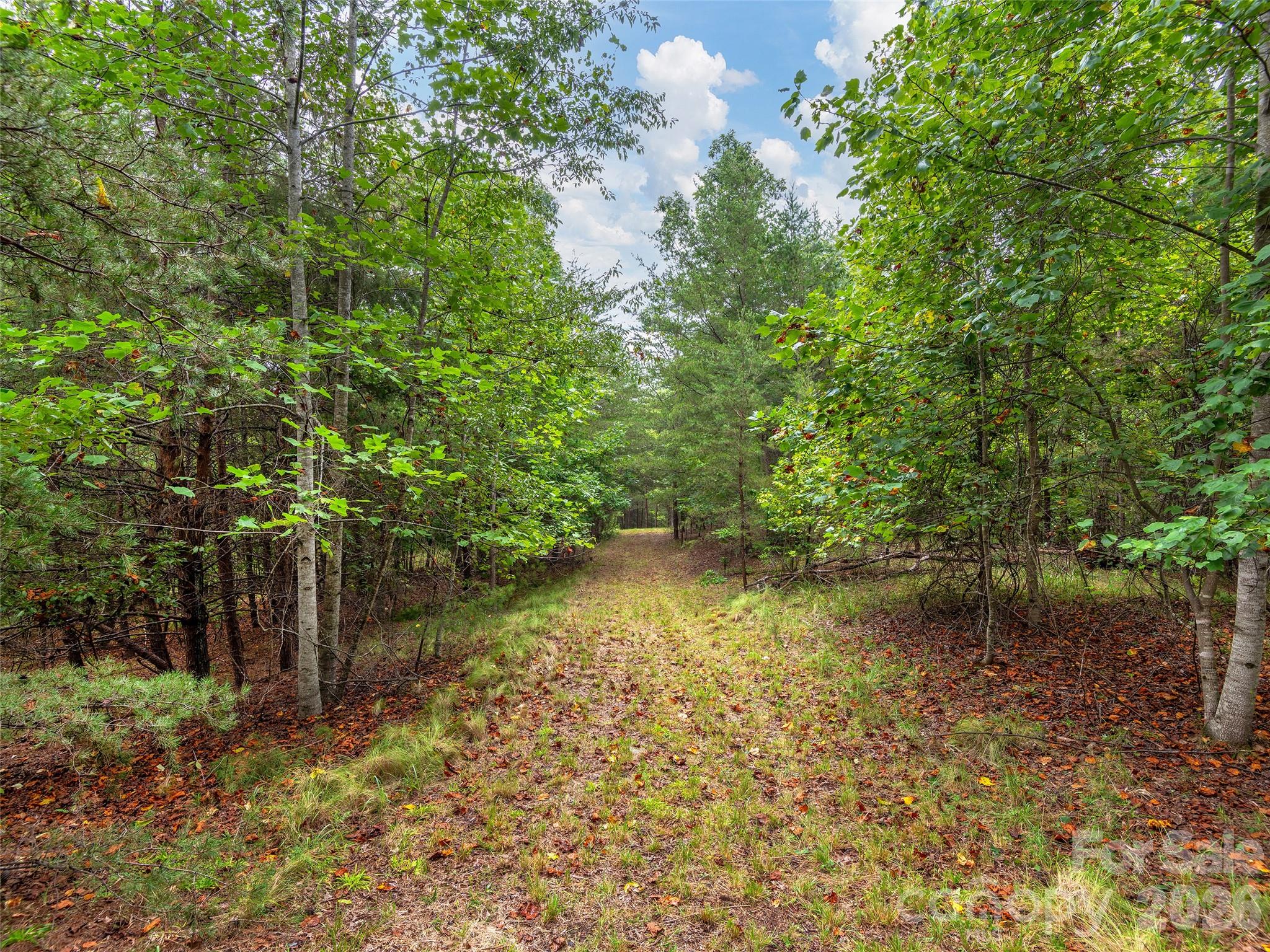 Lot #28 Parkway North Road 28