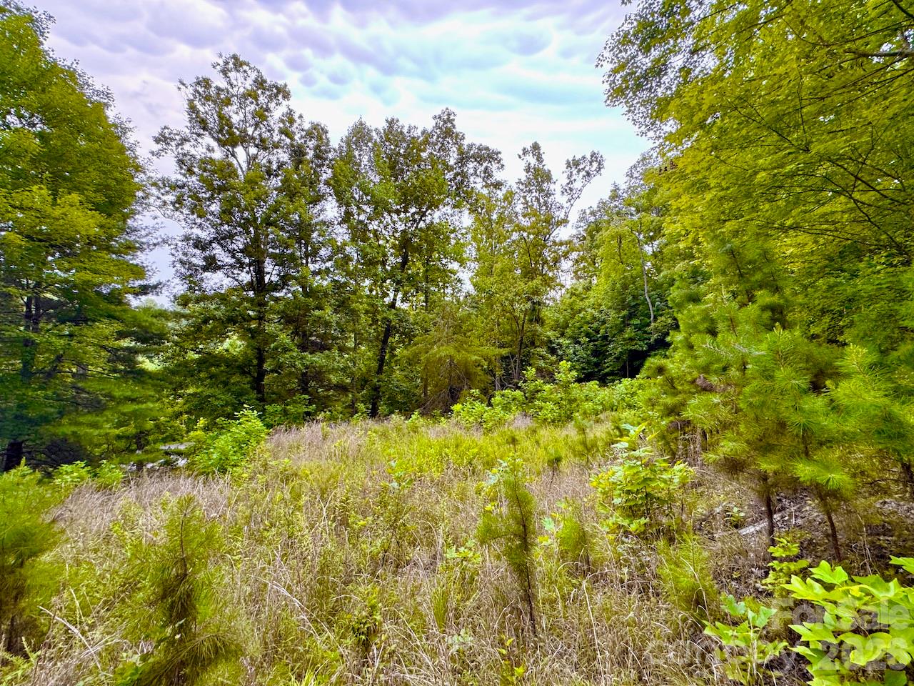 120 Ben Lippen School Road