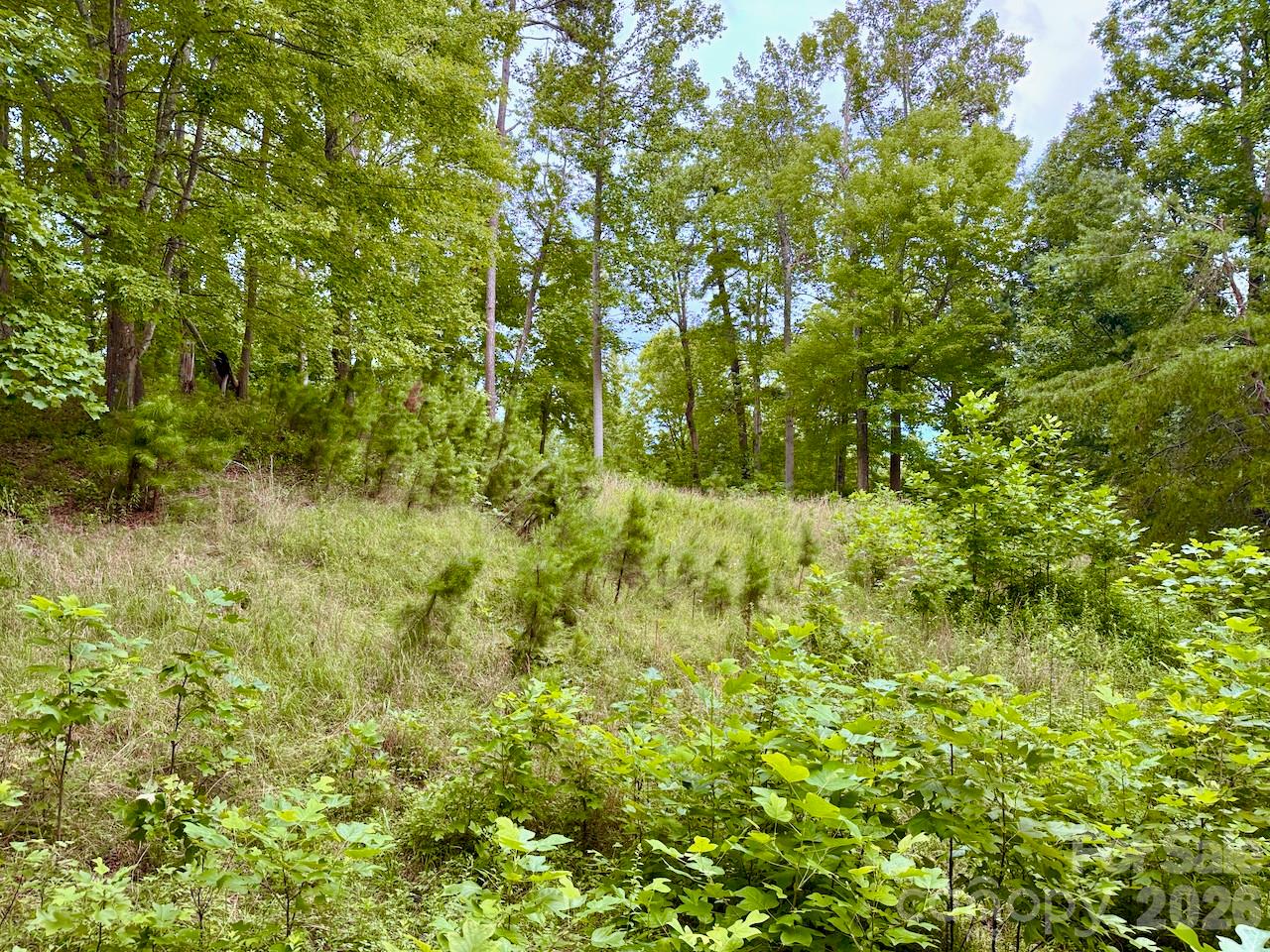 120 Ben Lippen School Road