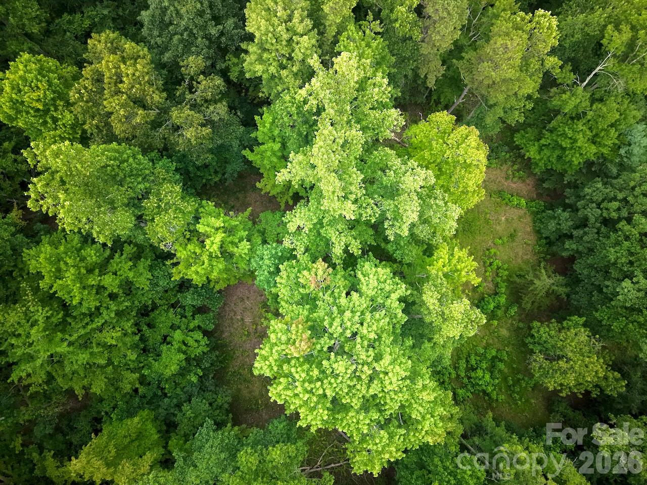 120 Ben Lippen School Road