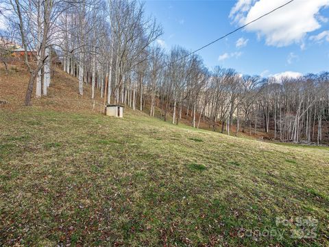 Tract 3 & 4 Badd Lane Maggie Valley NC 28751