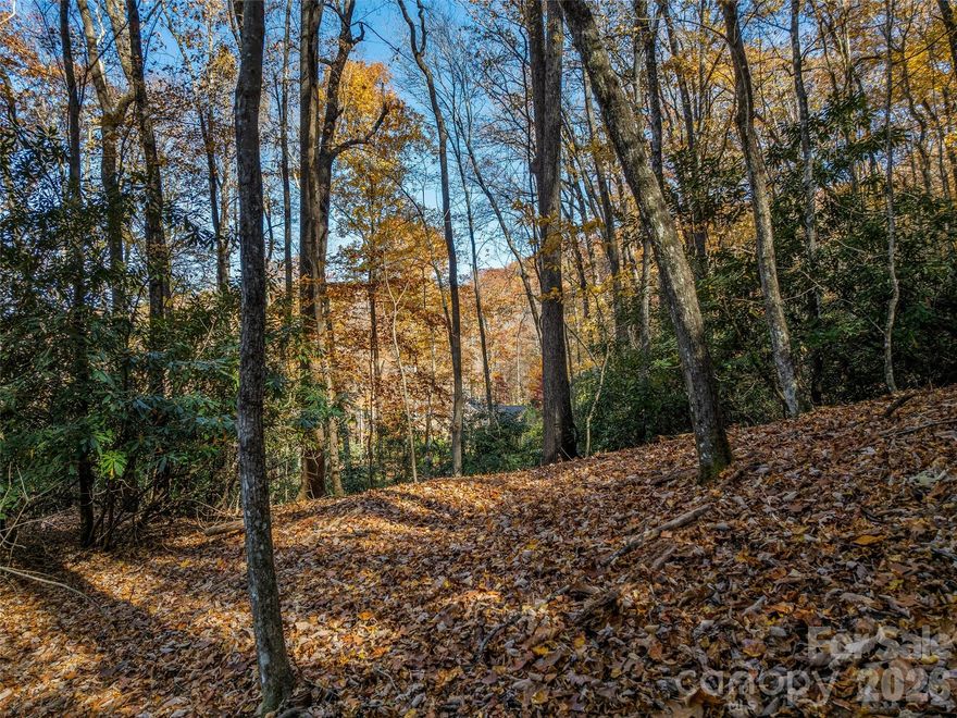 Discover the beauty of mountain living in the sought-after Glen Cannon community in Pisgah Forest! This 1.88-acre wooded lot offers privacy, character, and natural charm with rock outcroppings and traces of foxfire. Hardwoods and rhododendron thickets blanket the property.  There is a walking path that leads to the top ridge line, where the potential house pad awaits — offering beautiful long-range views once cleared. Walking sticks are even provided at the path entrance to help you explore the property. Bring your hiking shoes and imagination! This could be the perfect setting for your dream mountain home in a friendly, well established neighborhood. Pisgah National Forest, Dupont State Forest and the town of Brevard are just minutes away. 3 Bedroom Septic permit on file.