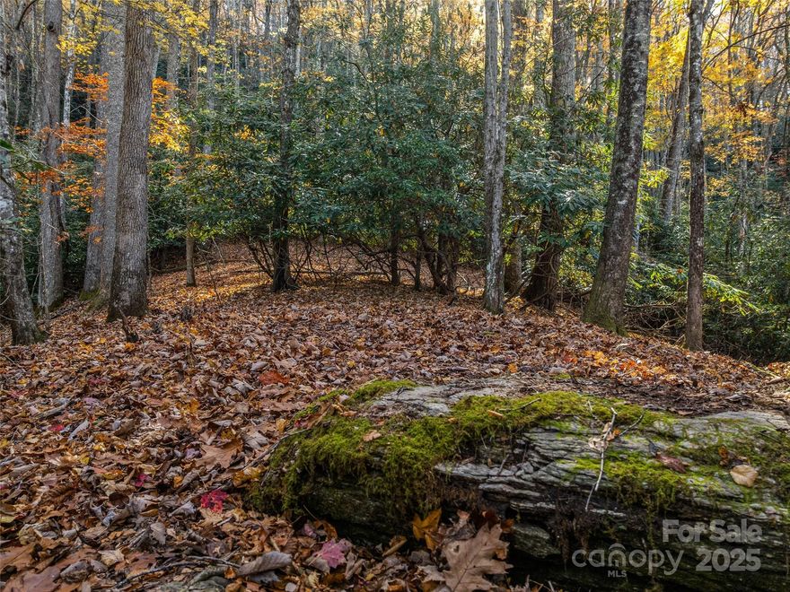 Discover the beauty of mountain living in the sought-after Glen Cannon community in Pisgah Forest! This 1.88-acre wooded lot offers privacy, character, and natural charm with rock outcroppings and traces of foxfire. Hardwoods and rhododendron thickets blanket the property.  There is a walking path that leads to the top ridge line, where the potential house pad awaits — offering beautiful long-range views once cleared. Walking sticks are even provided at the path entrance to help you explore the property. Bring your hiking shoes and imagination! This could be the perfect setting for your dream mountain home in a friendly, well established neighborhood. Pisgah National Forest, Dupont State Forest and the town of Brevard are just minutes away. 3 Bedroom Septic permit on file.