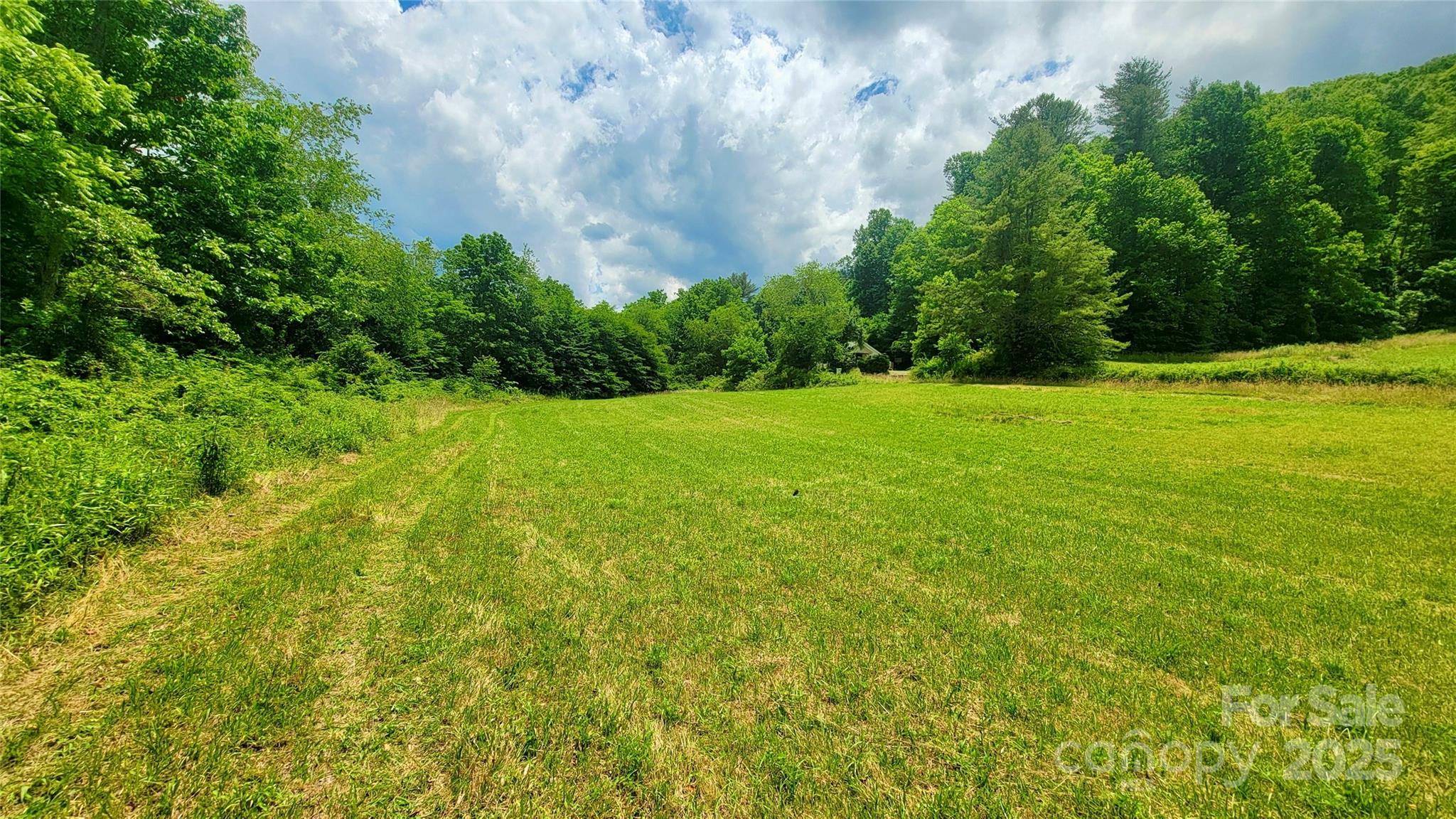 5595 Meadow Fork Road