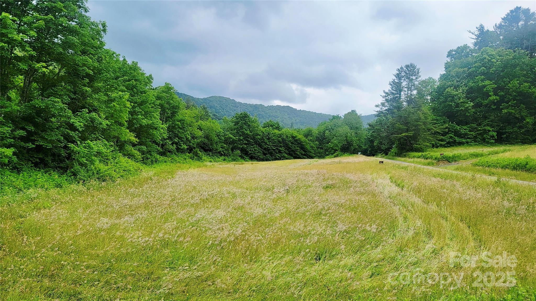 5595 Meadow Fork Road