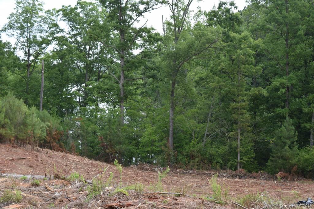 Somerset At Autumn Cove - Land