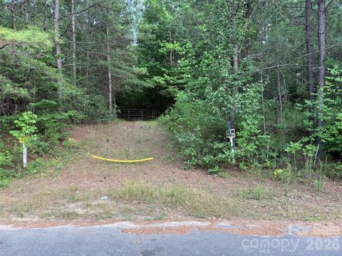Photo of 8169 Raccoon Track Drive, Sherrills Ford, NC 28673 (MLS # 4398005)