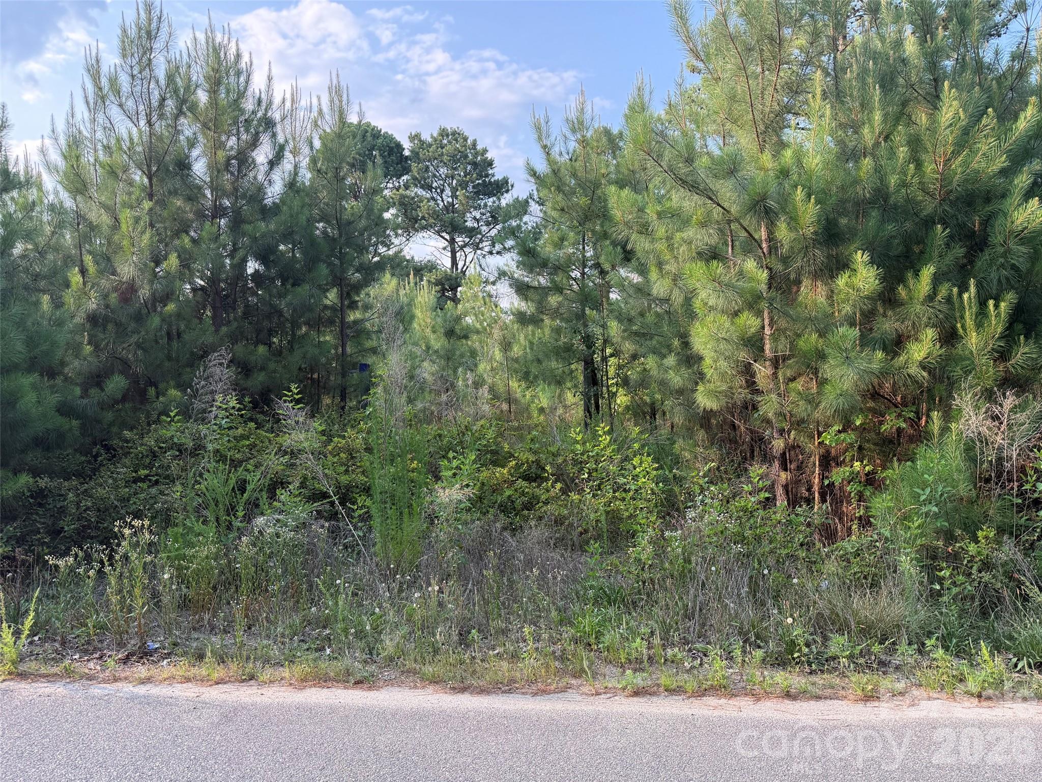 8169 Raccoon Track Drive