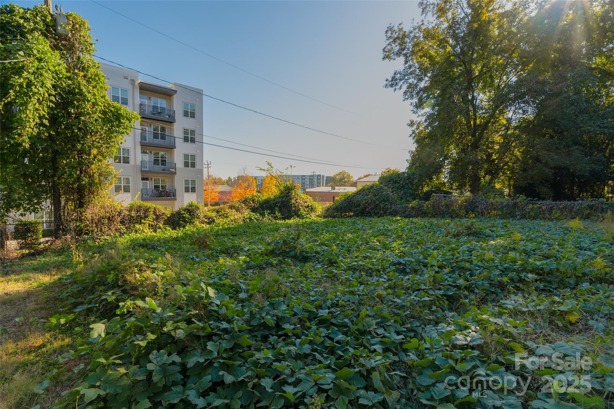 Wesley Heights - Land