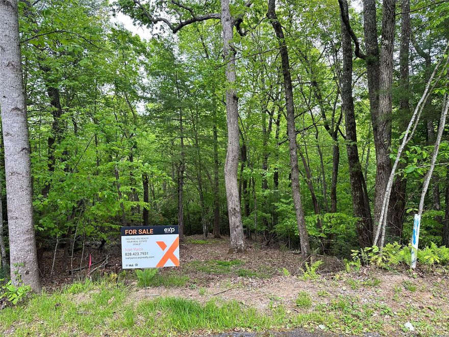 Remarkable lot in quiet and peaceful Hearthstone in Horse Shoe, NC. Close to many attractions that Western NC has to offer, including Dupont State Forest, Looking Glass Rock Waterfall, and Blue Ridge Parkway. All are within 20-30 minutes. This perfect lot just outside Mills River is close to breweries such as Bold Rock and Burning Blush and other dining and shopping areas. Distance to downtown Asheville is just a little over 30 minutes! This is a perfect opportunity for someone looking to build a custom home located on a quiet cul-de-sac. This building lot has city water, natural gas, and underground utilities, and only a septic is needed.