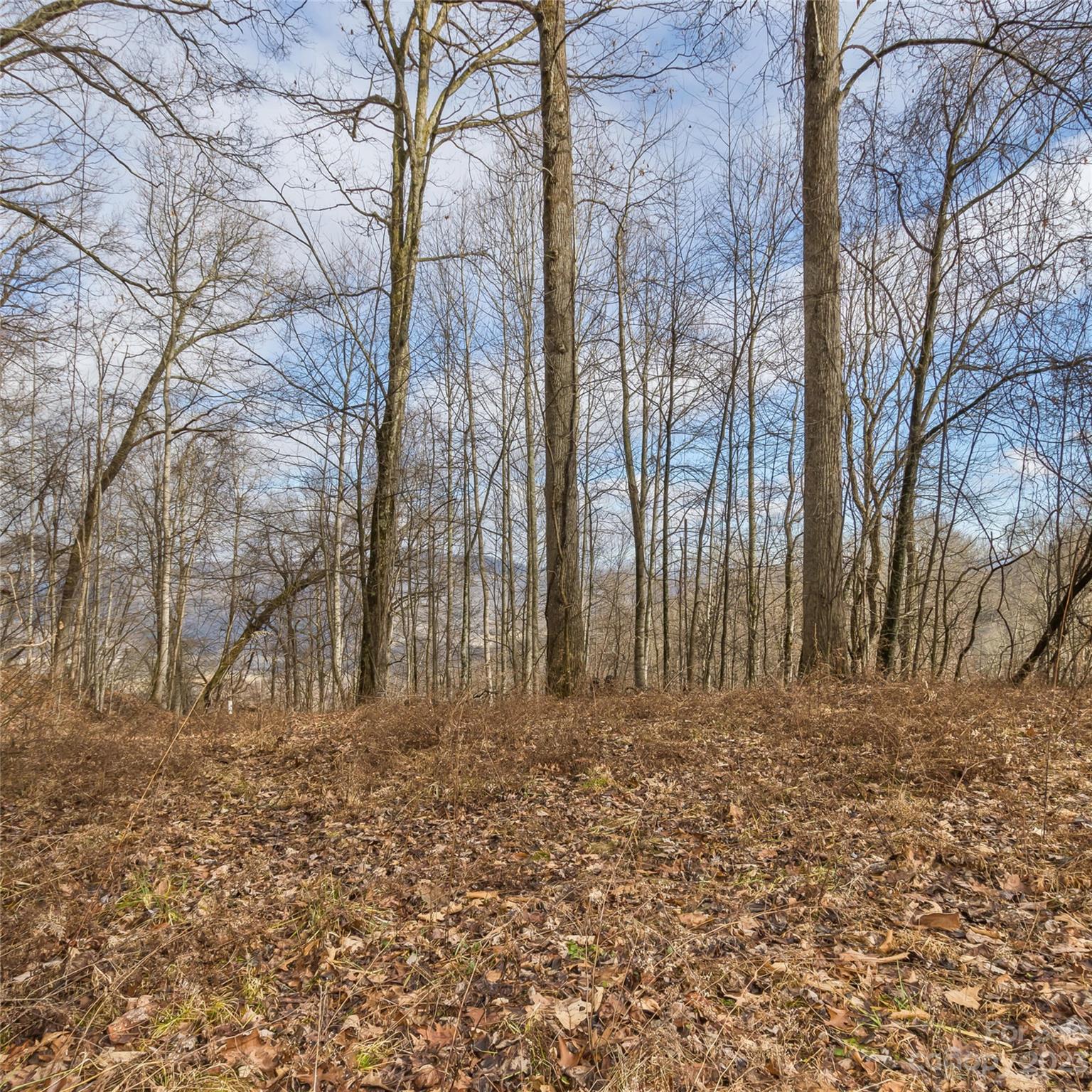 Cascades Estates - Land