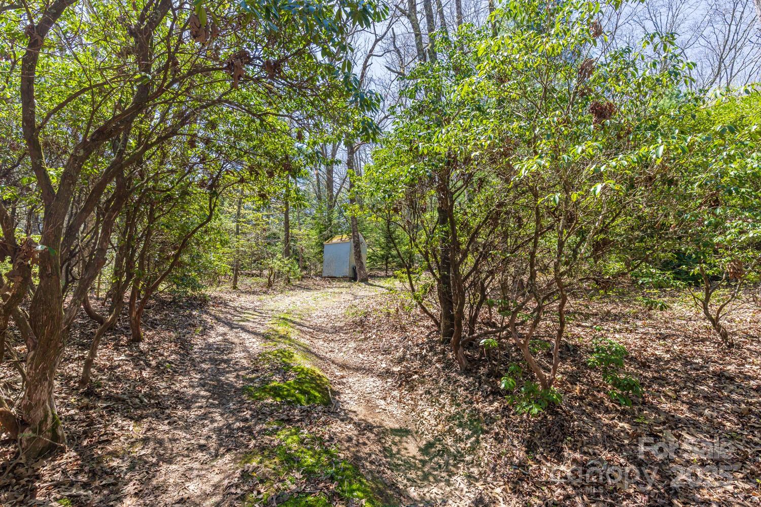 99999 Fairview Forest Drive