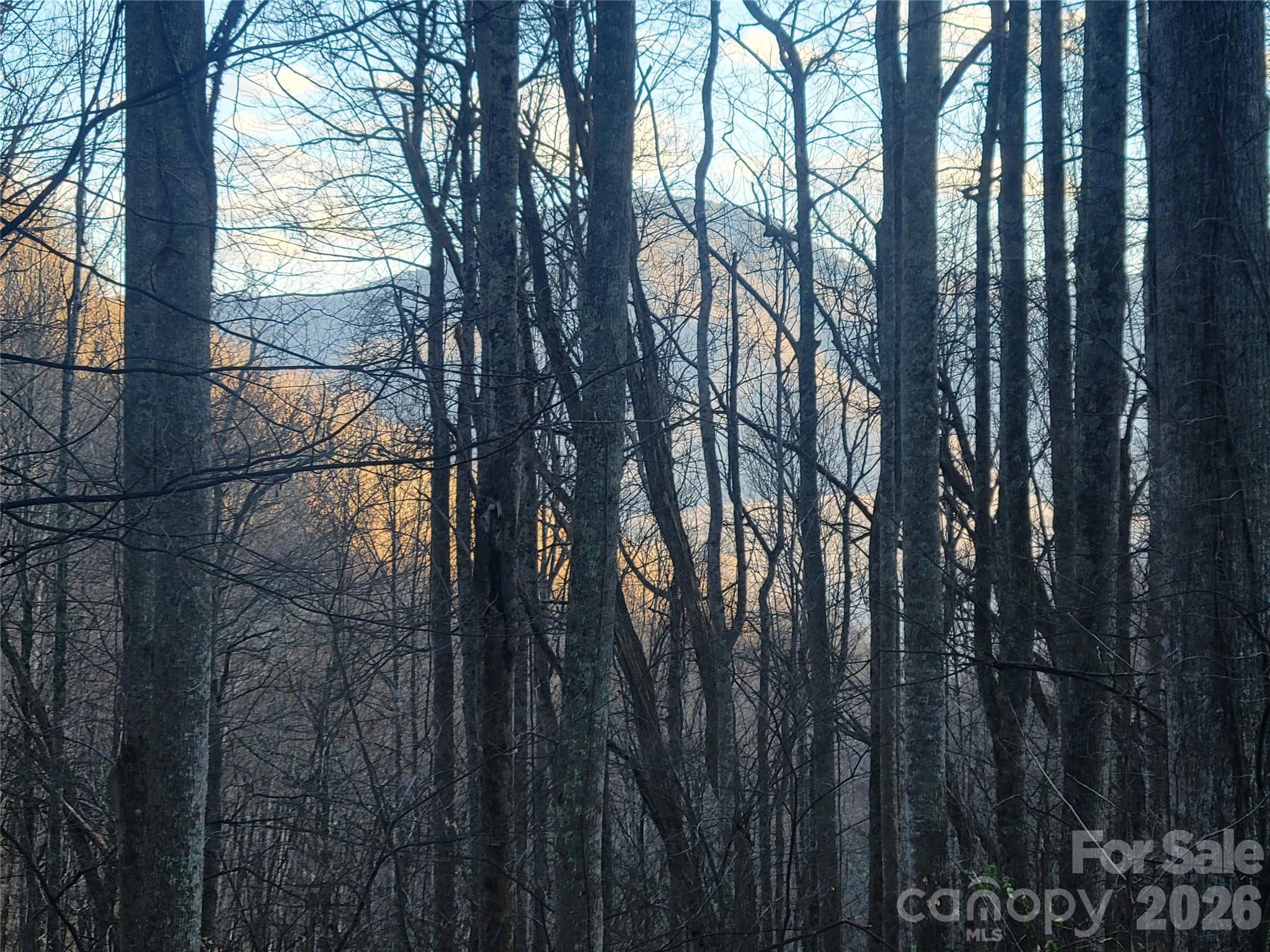 The Cove at Maggie Valley - Land