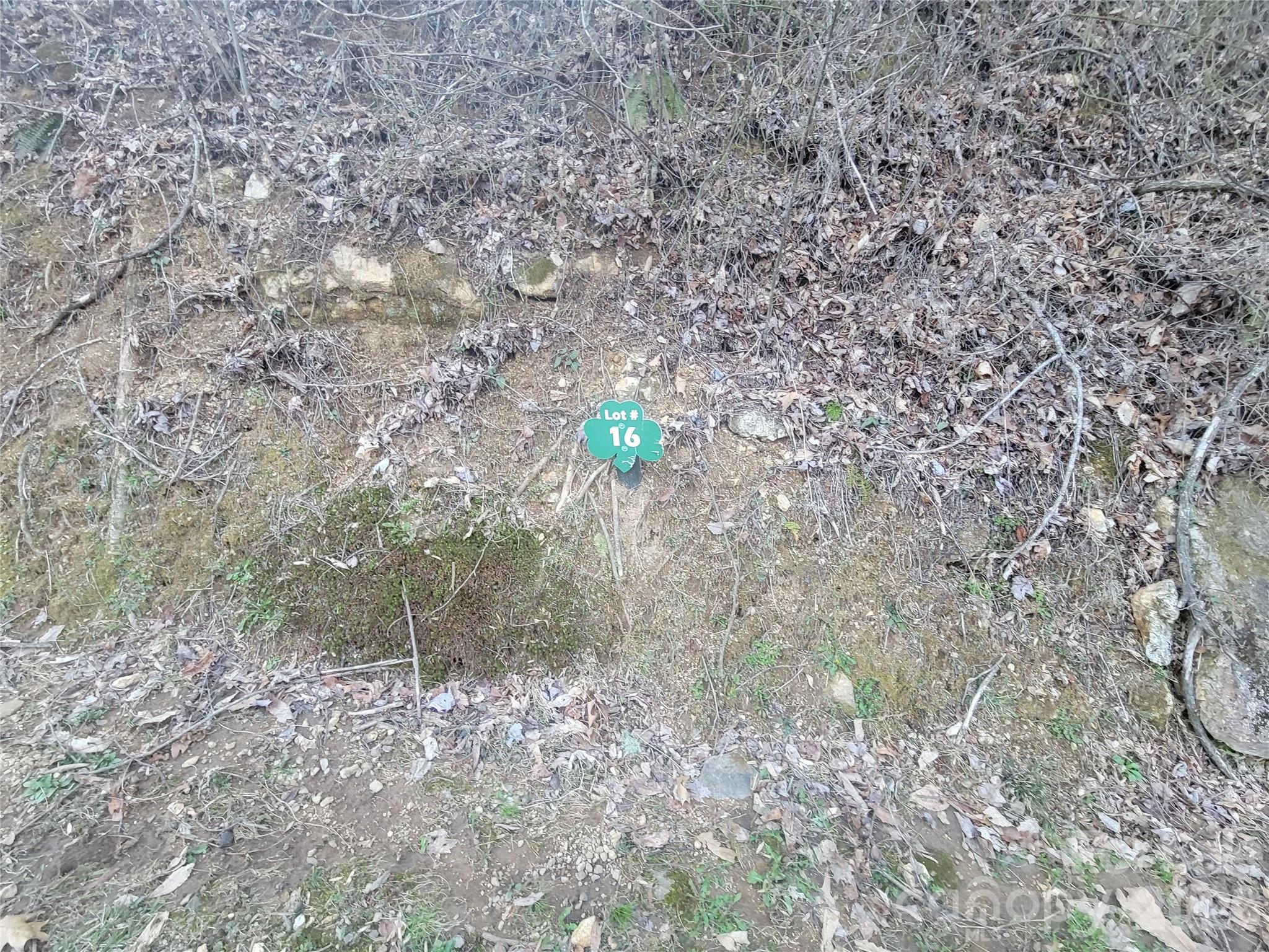 The Cove at Maggie Valley - Land