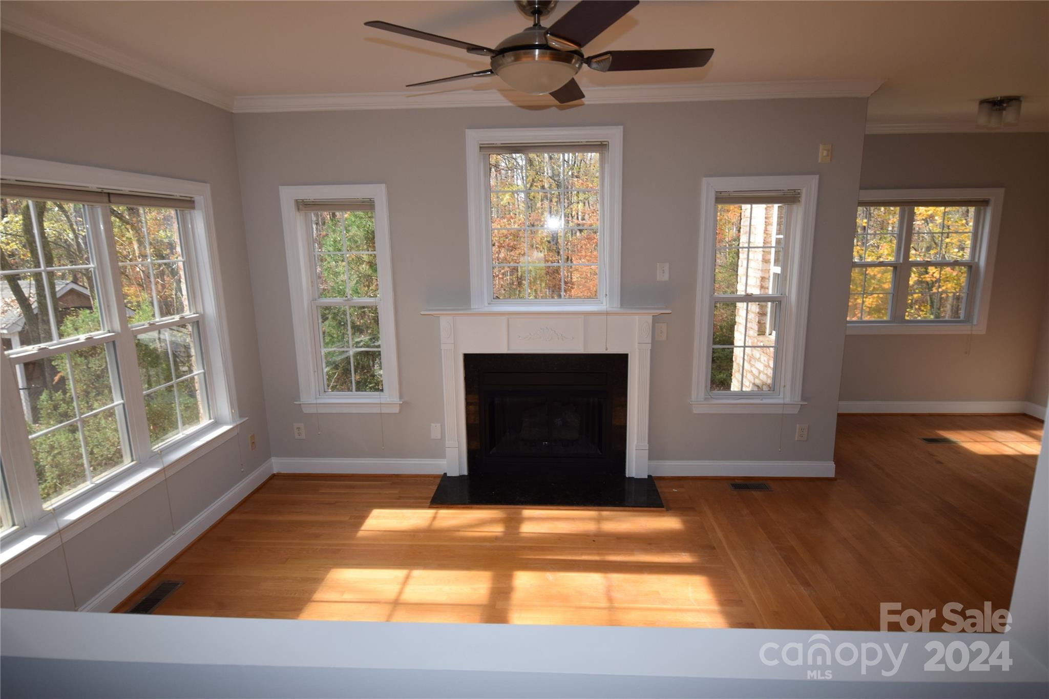 809 Pine Forest Road