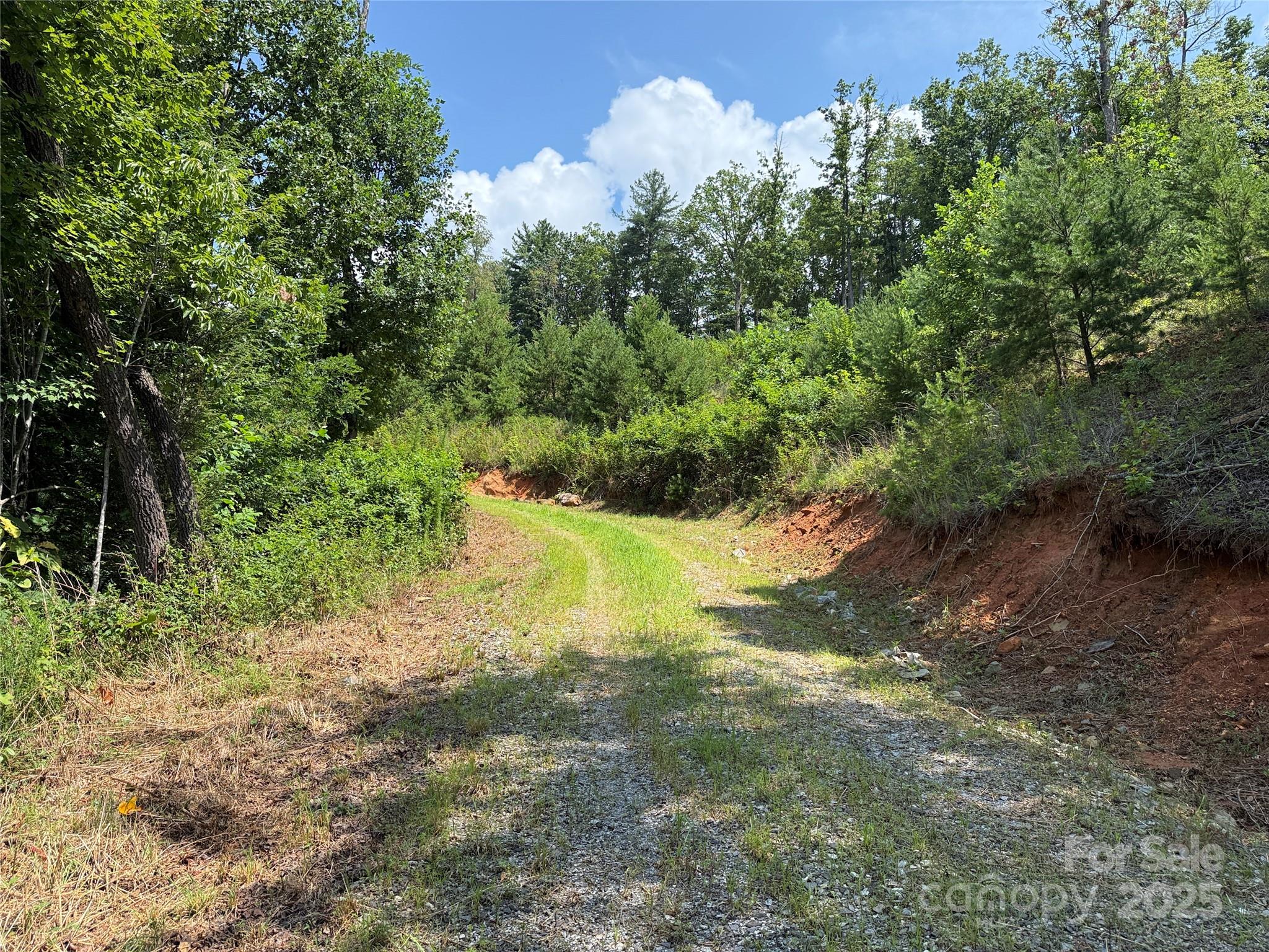 TBD Lazy Bear Lane
