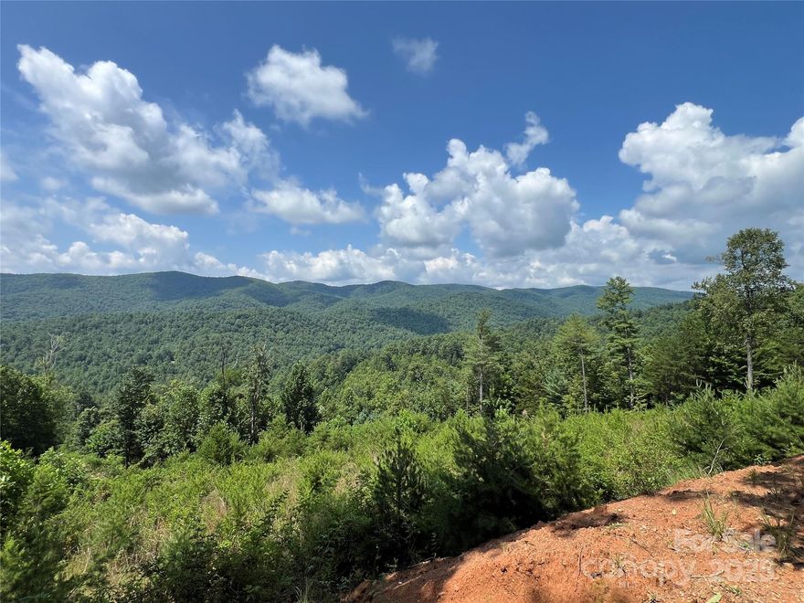 NO HOA - OWNER FINANCING AVAILABLE - SHARED WELL - 5 Bedroom Septic Permit in process at Seller's expense. Enjoy long range views and breathtaking sunsets from this southwest facing 7+ acre tract. A road is already in place to multiple building site options, all with great views! Bring your camper and enjoy your land before you build. The FLAT BUILDING SITE at the top of the property offers long range views and a very private setting. It is cleared and ready for a barndominium or single level living home. This location is very convenient to Hwy 421. Ideal location for a primary residence, vacation home or vacation rental property. Centrally located just 30 minutes from Boone, West Jefferson, and Wilkesboro. Great location for a weekend getaway! Arrive from Winston in only 1 hour and from Charlotte in 1 hour 40 min. Just minutes from High Country activities. Close to the Blue Ridge Parkway, ASU, shopping, dining, golf, wineries, breweries, mountain biking and skiing. OWNER FINANCING AVAILABLE. Inquire for additional information. 1,000 SF minimum building requirement. Long-term and short-term rentals are allowed. Check out the VIRTUAL TOUR to see additional photos and land features.