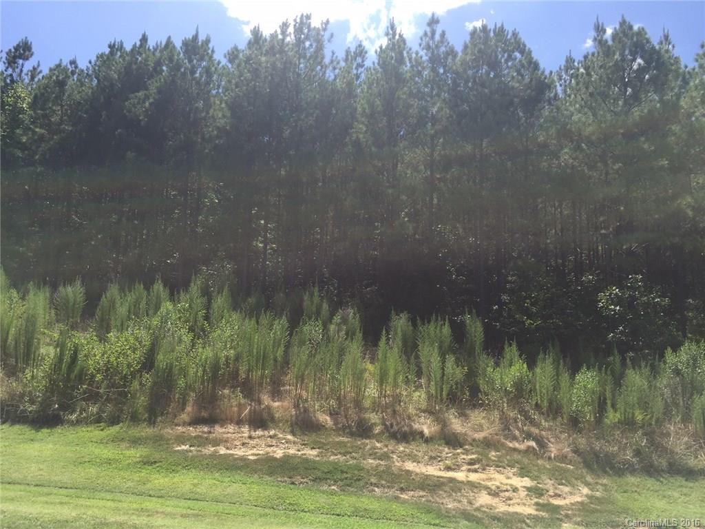 Catawba Shores Estates - Land