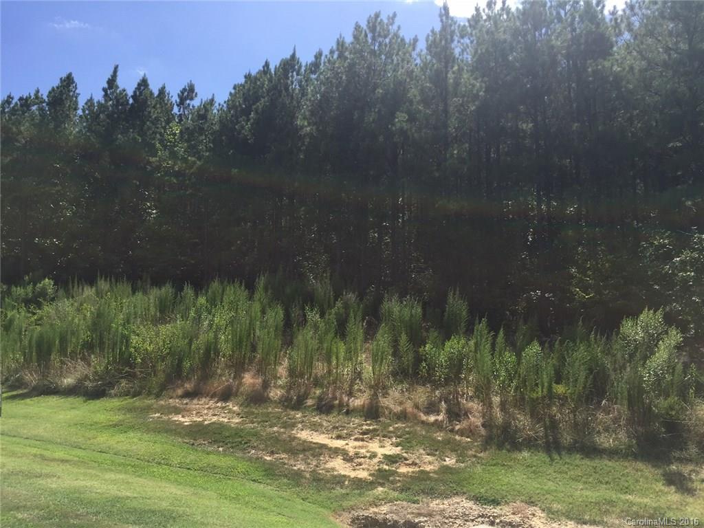 Catawba Shores Estates - Land