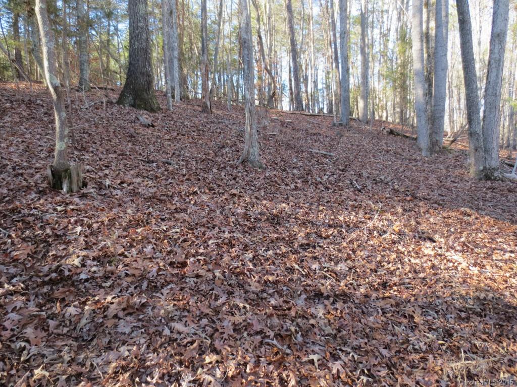 The Sanctuary - Land