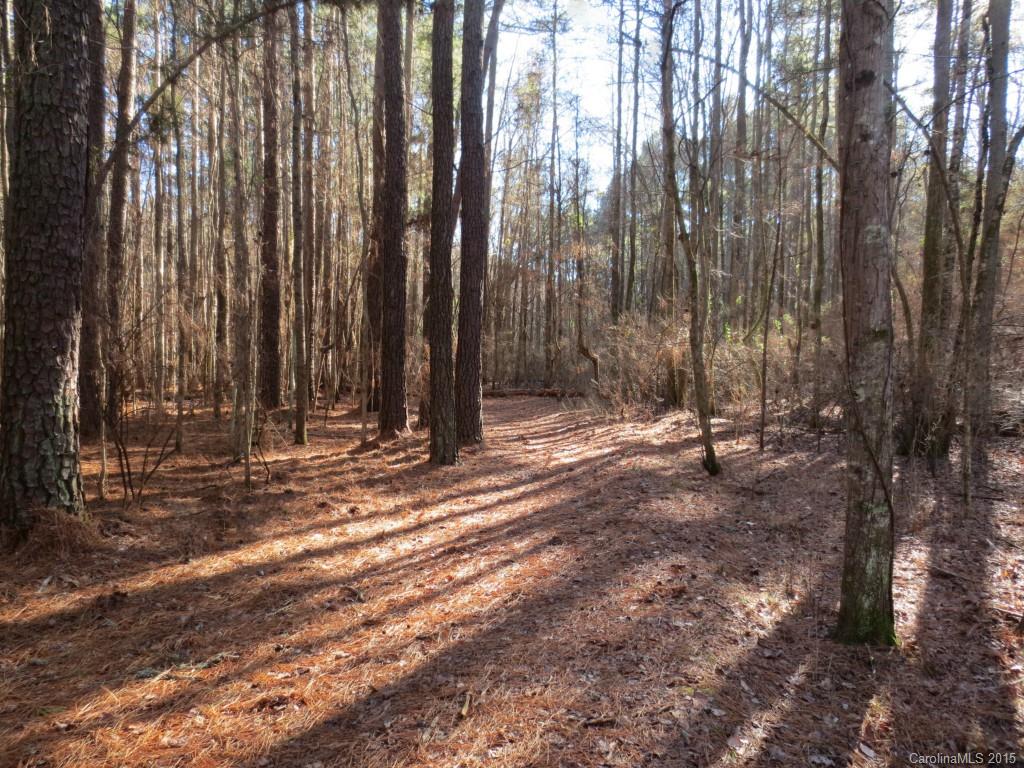 The Sanctuary - Land