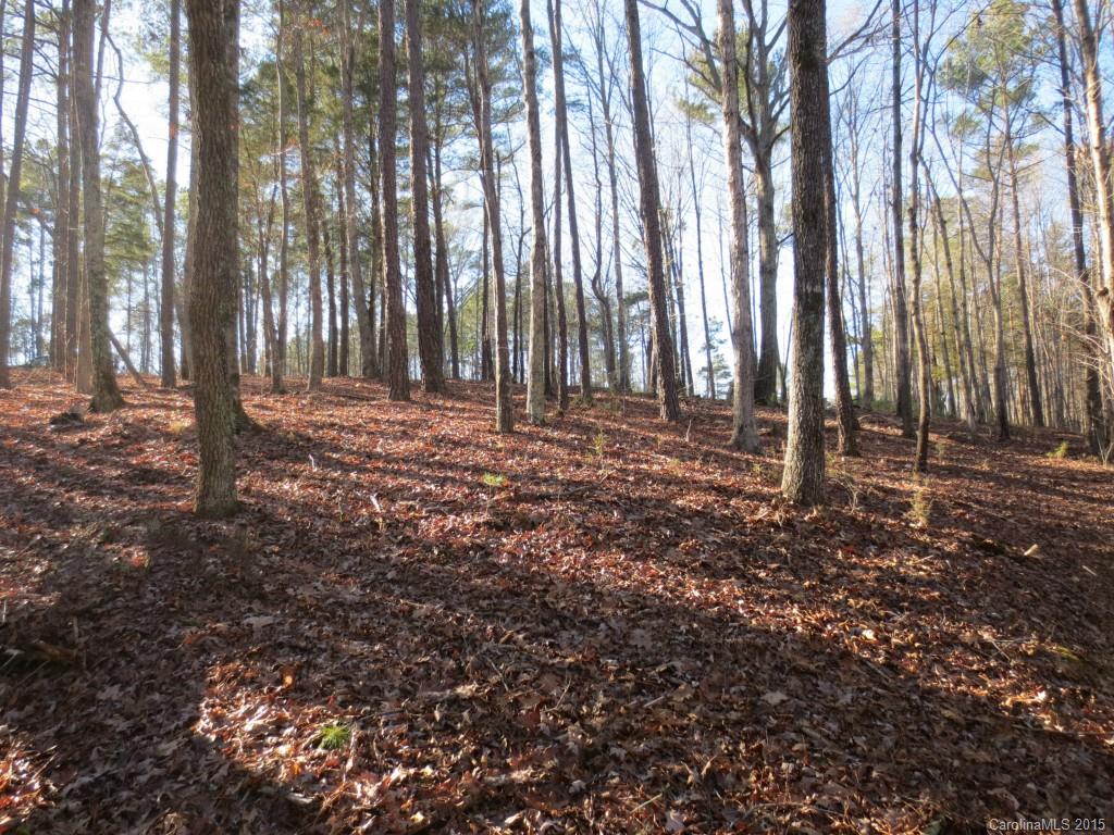 The Sanctuary - Land